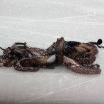 Detroit Octopus