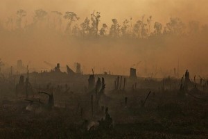 indonesian forest fire