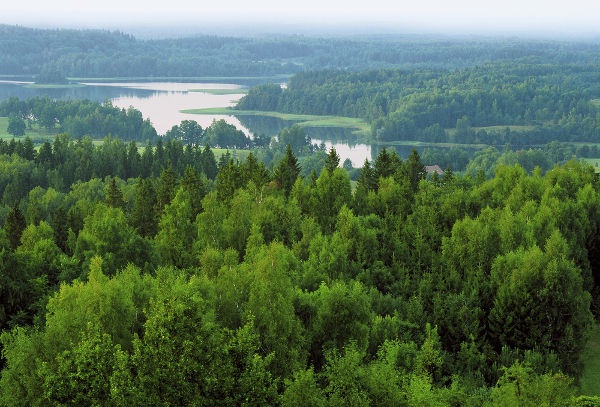 foreste lettoni